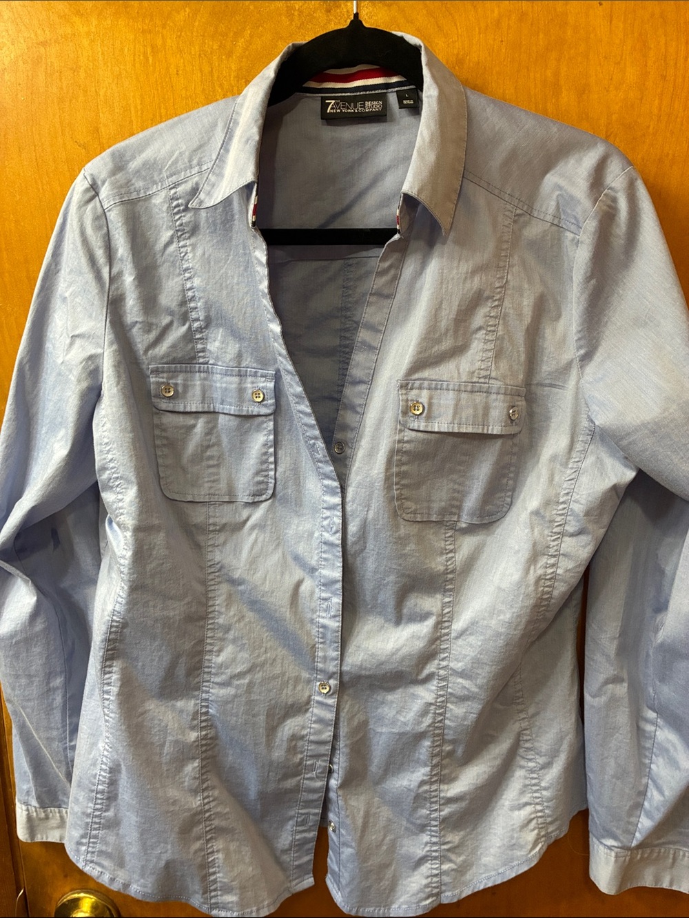 Light Blue Women's Button-Front Shirt Blouse by Z Zegna
